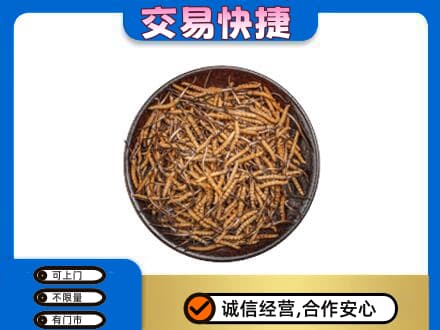 五指礼品回收虫草.jpg